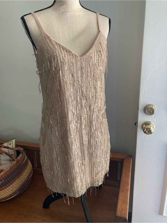 Inspired Hearts Dresses & Skirts - Women’s backless Beaded Nude Champagne Slip Dress party dress 1X